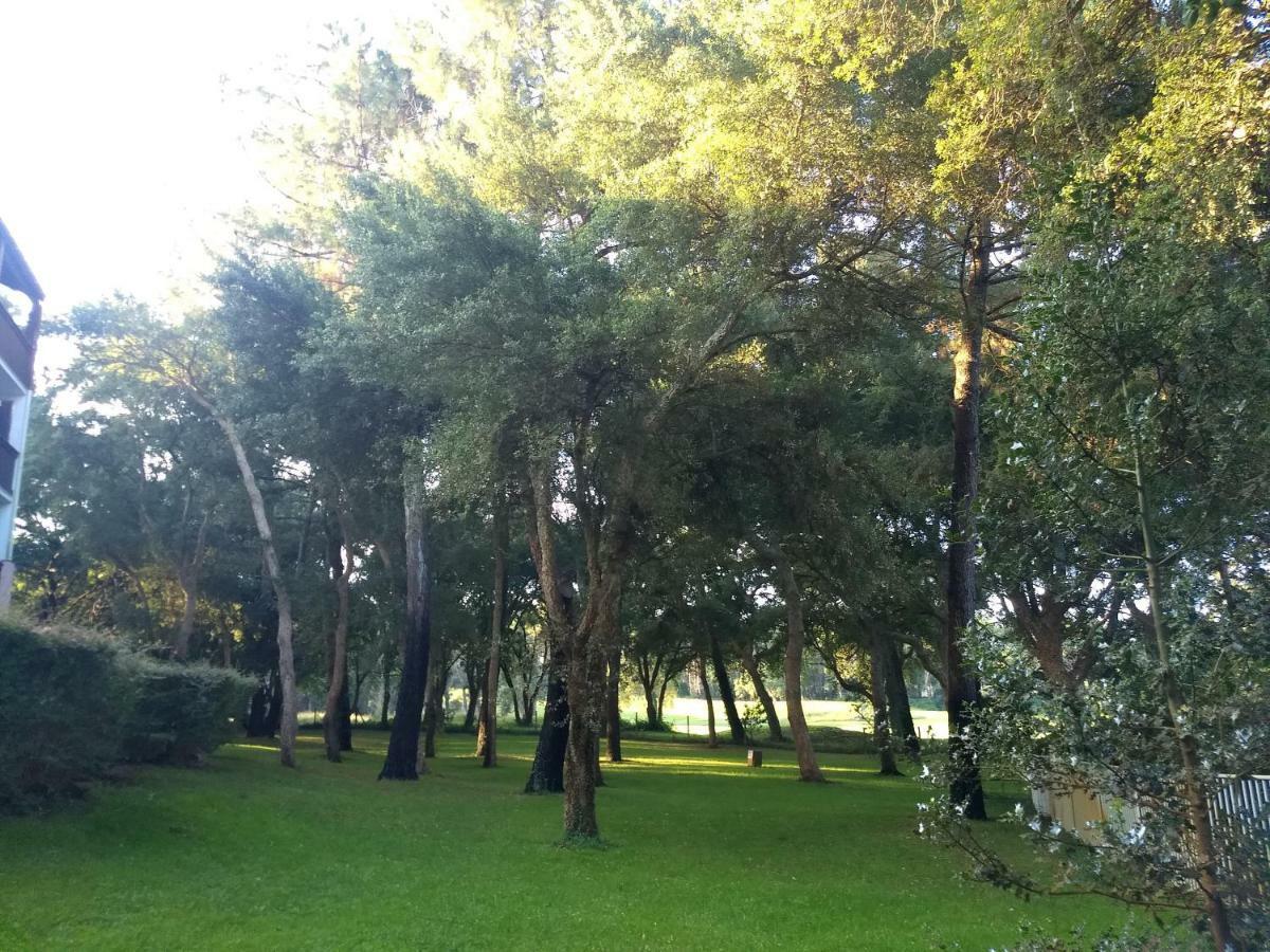 מולייטס-אה-מא Albertine Appt 112 מראה חיצוני תמונה